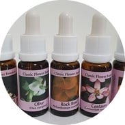 Blüten Essenzen, Praxis für Kinesiologie & Komplementärtherapie in Meisterschwanden, Seetal