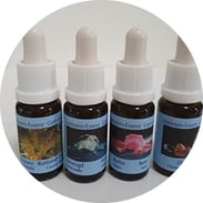 Edelstein Essenzen, Praxis für Kinesiologie & Komplementärtherapie in Meisterschwanden, Seetal