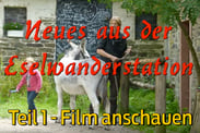 eselwandern-eifel-bongard-film-teil-01