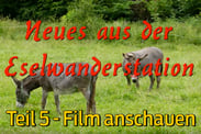 eselwandern-eifel-bongard-film-teil-05