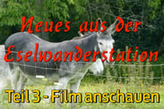 eselwandern-eifel-bongard-film-teil-03