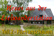 eselwandern-eifel-bongard-film-teil-02