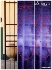 8 - collage confronto dettaglio anomalia