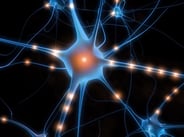 Neuromanagement,Wie,Mr.Mike,Management,Neuro,