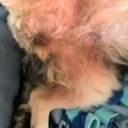 Foto © Esther Hufschmid