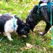 Foto: © Esther Hufschmid