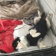 Foto © Esther Hufschmid