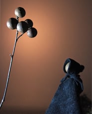 Commission about early science writer