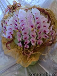 胡蝶蘭￥20,000(税込)