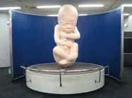 川崎医科大学現代医学教育博物館