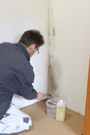 Schimmel biozidfrei entfernen