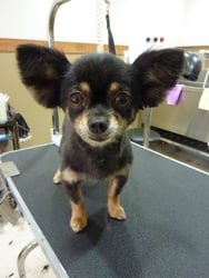 みかんちゃん❤