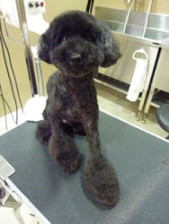 ＣＯＣＯちゃん❤