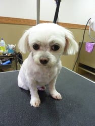 ミルクちゃん❤