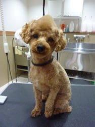 ごんざえもんちゃん❤