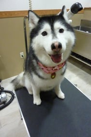 アンナちゃん❤