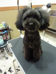 ミントちゃん❤