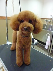 コテツちゃん❤