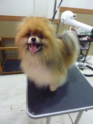 チェルちゃん❤