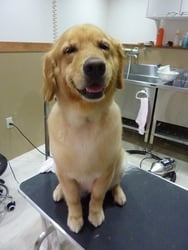 Ａｍｉちゃん❤