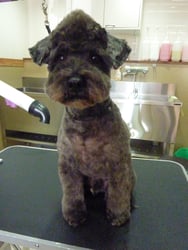 福°助ちゃん❤