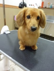 リョウちゃん❤