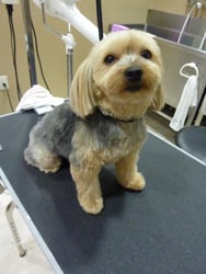 テンテンちゃん❤