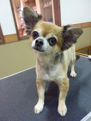 あざみちゃん❤