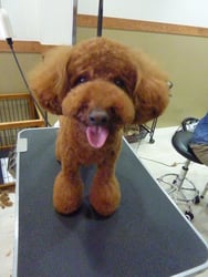 コロンちゃん❤