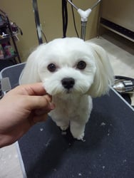 さくらちゃん❤