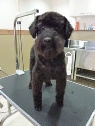 ダンクちゃん❤