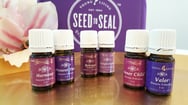 Bild: Young Living Feelings Entspannende Massage Kokoro