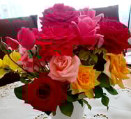  Im Europa Rosarium gibt es die Größte Rosensammlung der Welt