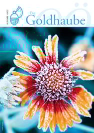 Ausgabe Dezember 2022