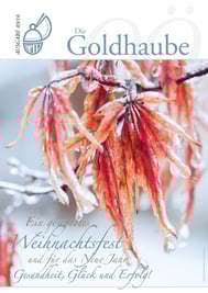 Ausgabe Dezember 2016