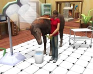 Screen Meine Tierstation im Outback 3D