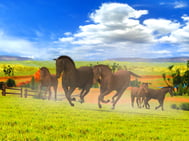 Charakter Art 01 Meine tierischen Patienten und ich 3D