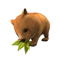 Artwork Meine Tierstation im Outback 3D