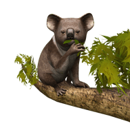 Artwork Meine Tierstation im Outback 3D