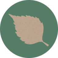 birke-horoskop-baum-uebersicht