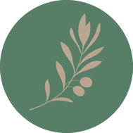 olivenbaum-horoskop-baum-uebersicht