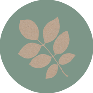 nussbaum-horoskop-baum-uebersicht