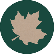 ahorn-horoskop-baum-uebersicht