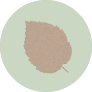 hasel-horoskop-baum-uebersicht