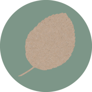 apfelbaum-horoskop-baum-uebersicht