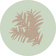 eibe-horoskop-baum-uebersicht