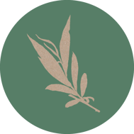 weide-horoskop-baum-uebersicht