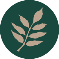 esche-horoskop-baum-uebersicht