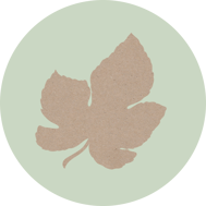 feigenbaum-horoskop-baum-uebersicht