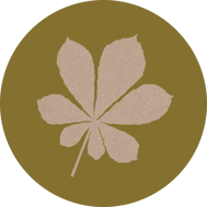 kastanienbaum Symbol